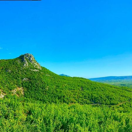 Hani I Leks Agroturizem Lezhë Exteriör bild