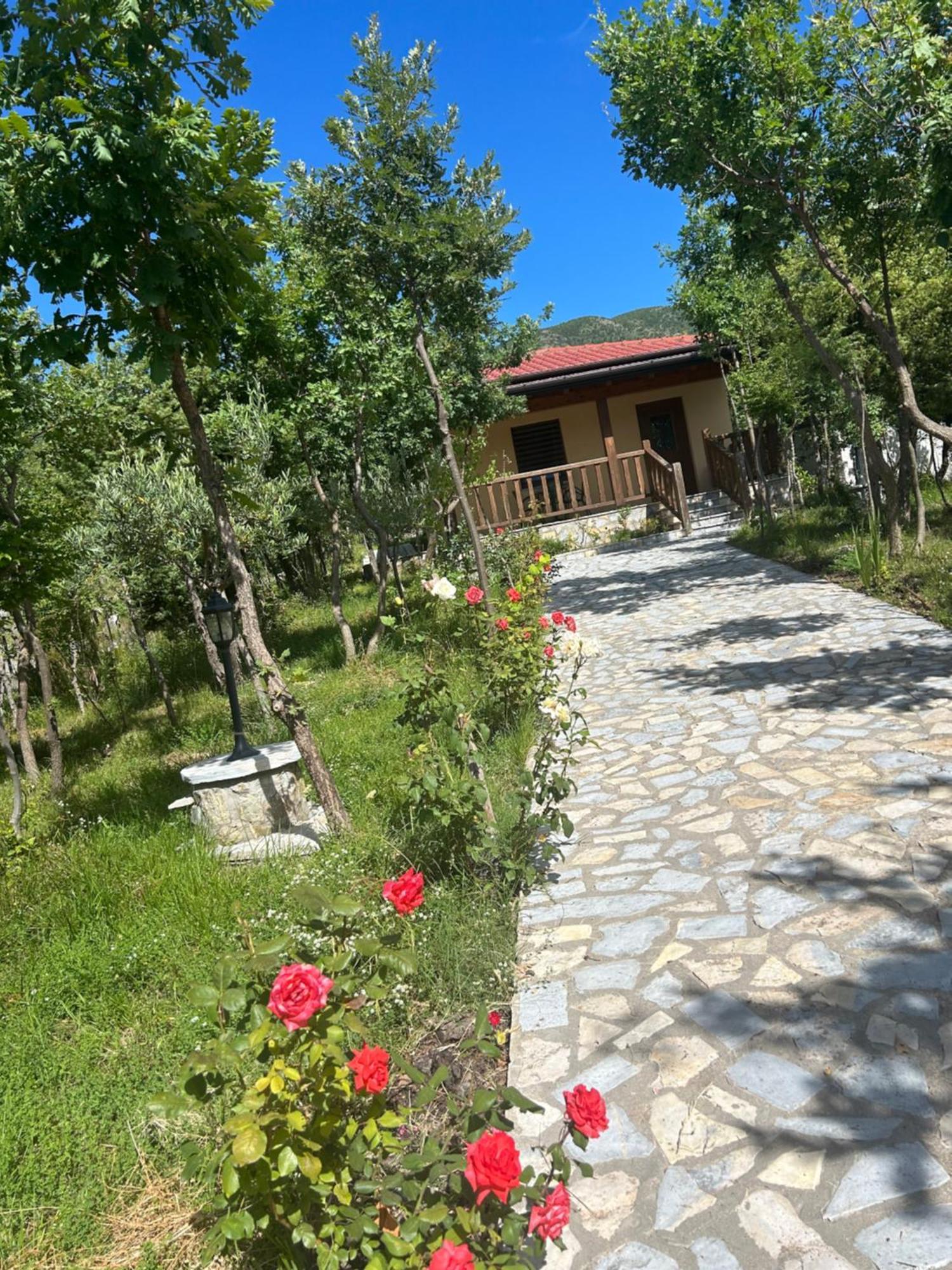 Hani I Leks Agroturizem Lezhë Exteriör bild